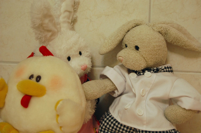 Raspberry Duck Show Picture