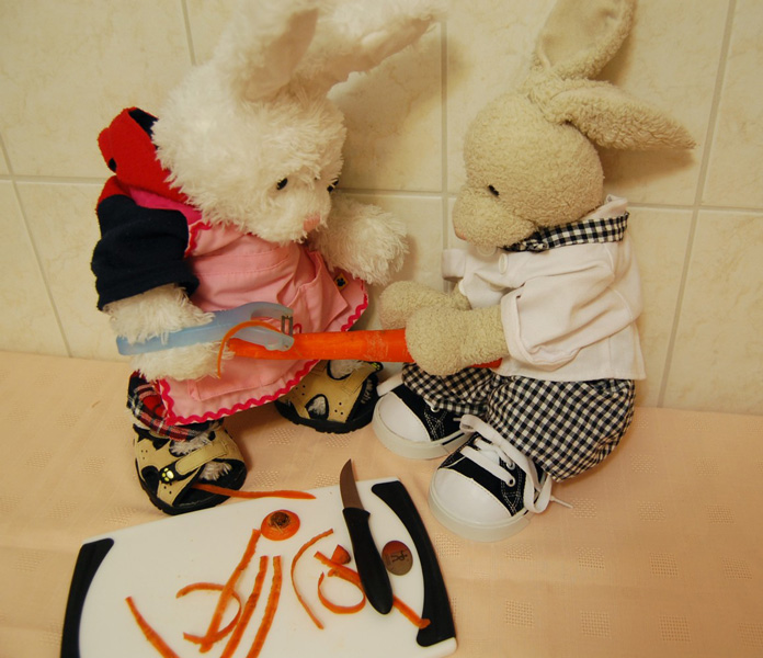 Raspberry Duck Show Picture