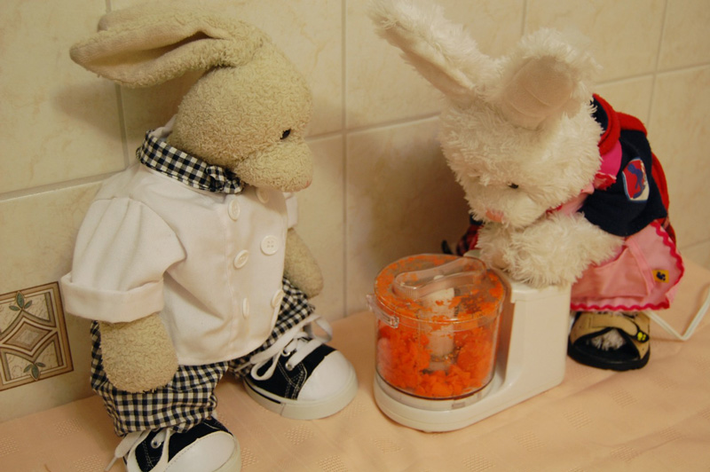 Raspberry Duck Show Picture