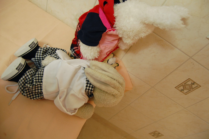 Raspberry Duck Show Picture