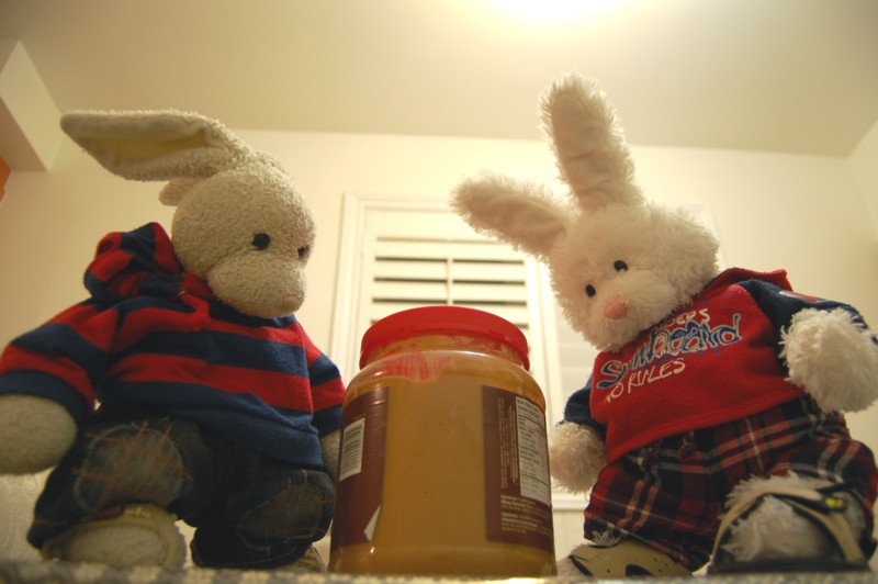 Peanut Butter Squares Show Picture