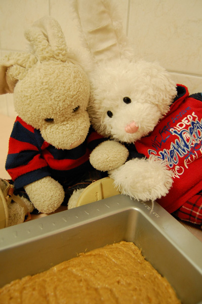 Peanut Butter Squares Show Picture