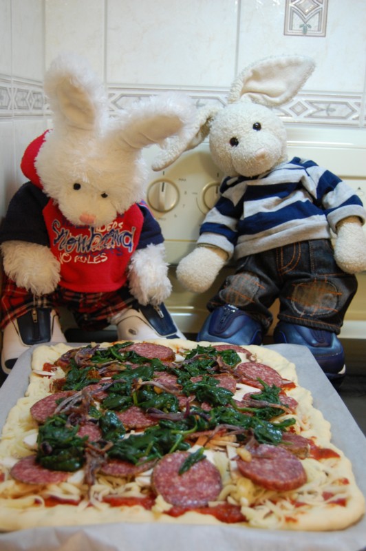 Homemade Pizza Show Picture