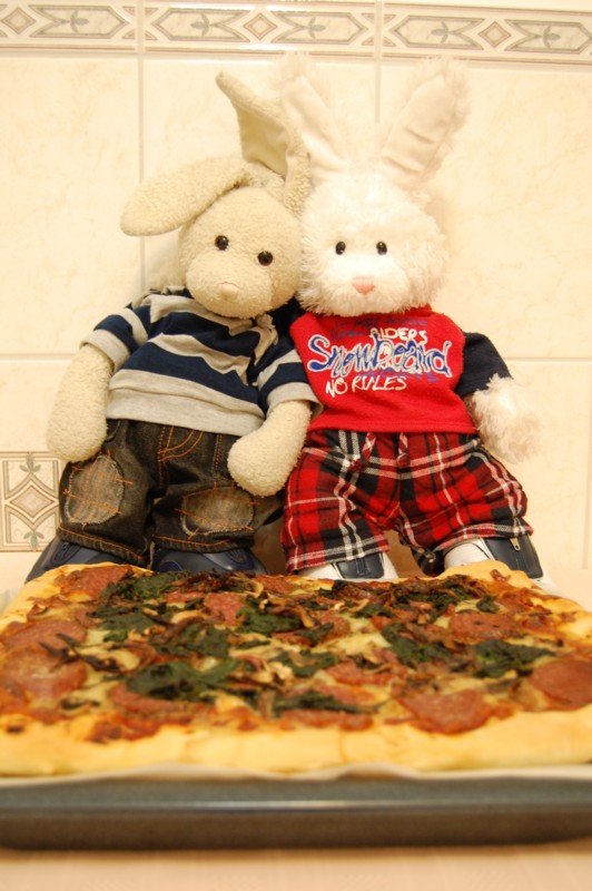 Homemade Pizza Show Picture