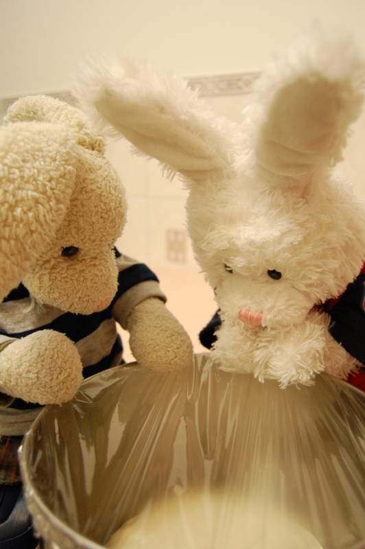 Homemade Pizza Show Picture