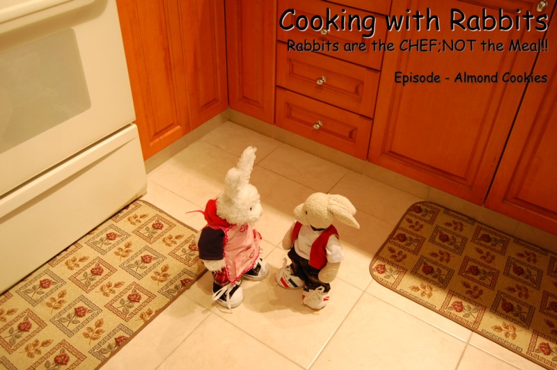 Almond Cookies Show Picture