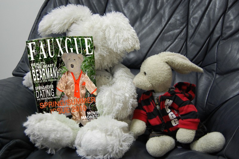 Almond Cookies Show Picture