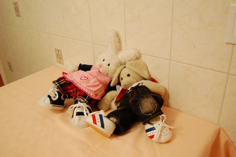 Almond Cookies Show Picture