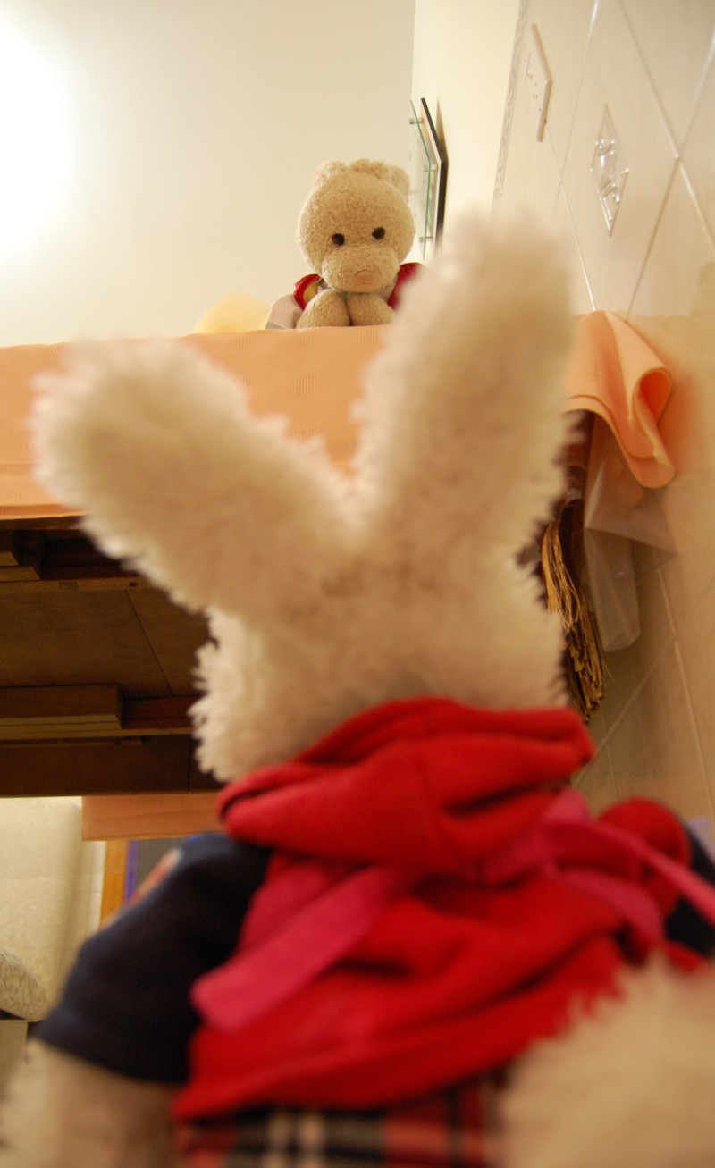 Almond Cookies Show Picture