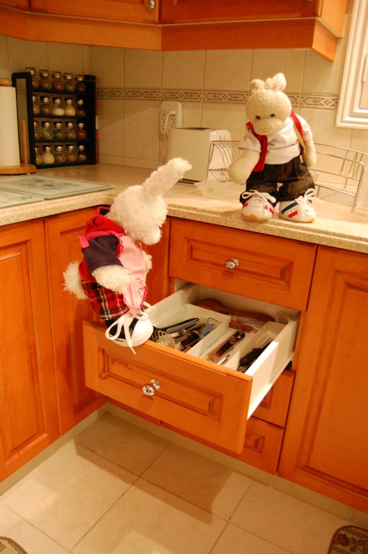 Almond Cookies Show Picture