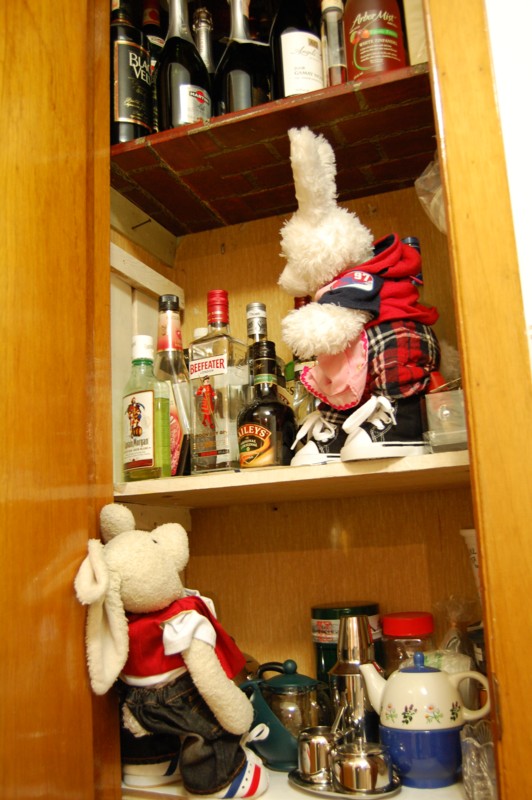 Almond Cookies Show Picture