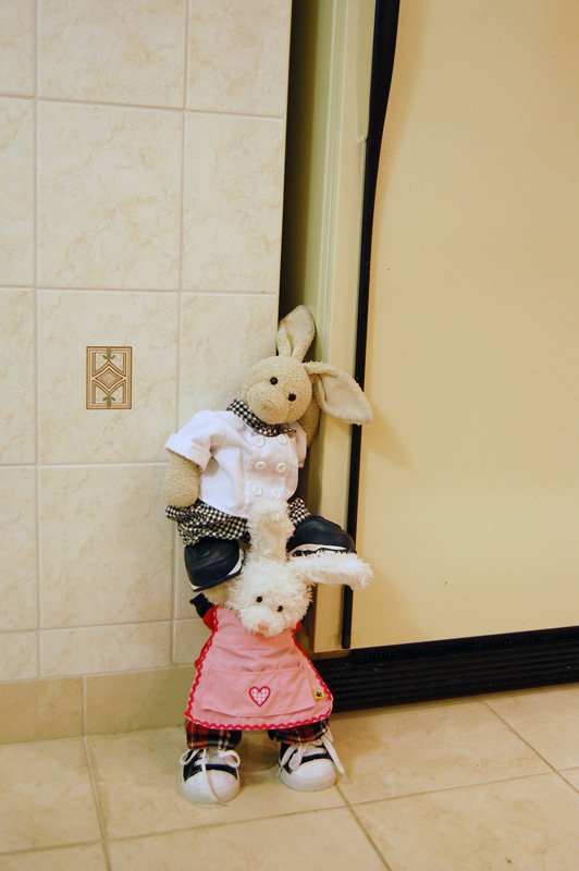 Fish 'n Chips Show Picture