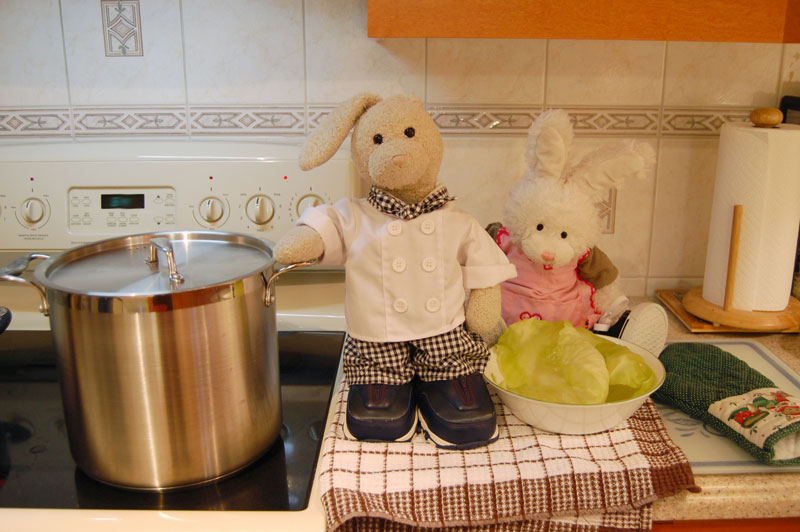 Cabbage Rolls Show Picture