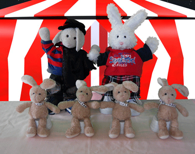 Brownies Show Picture