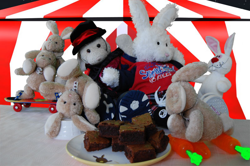 Brownies Show Picture