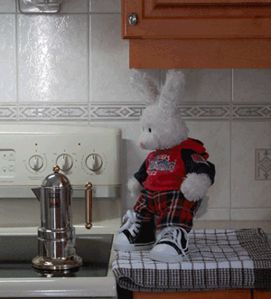 Brownies Show Picture