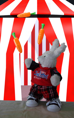 Brownies Show Picture