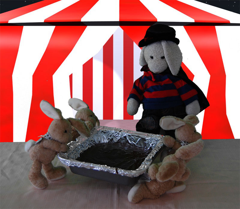 Brownies Show Picture