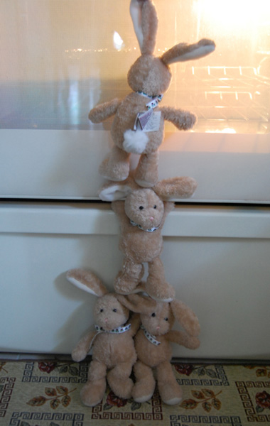 Brownies Show Picture