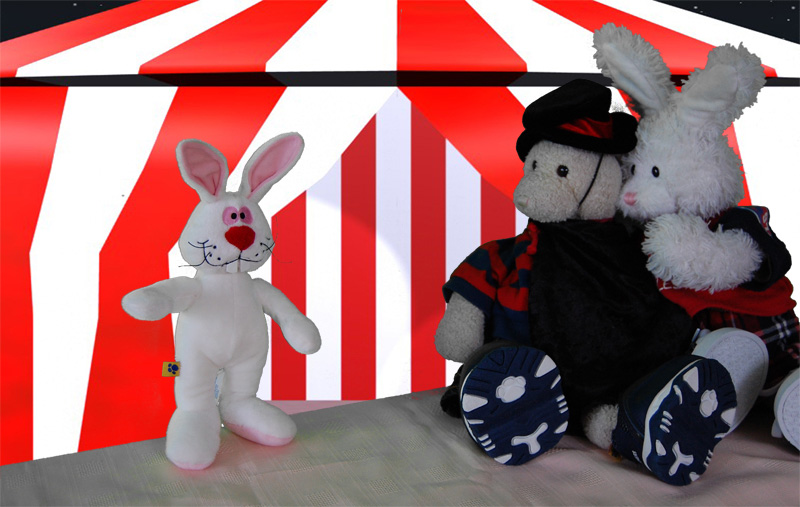 Brownies Show Picture