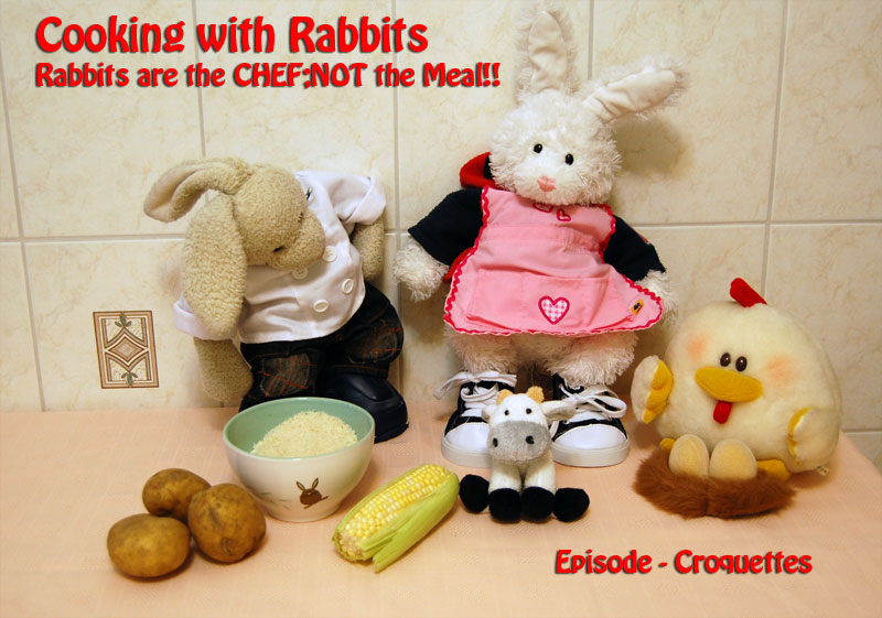 Croquettes Show Picture