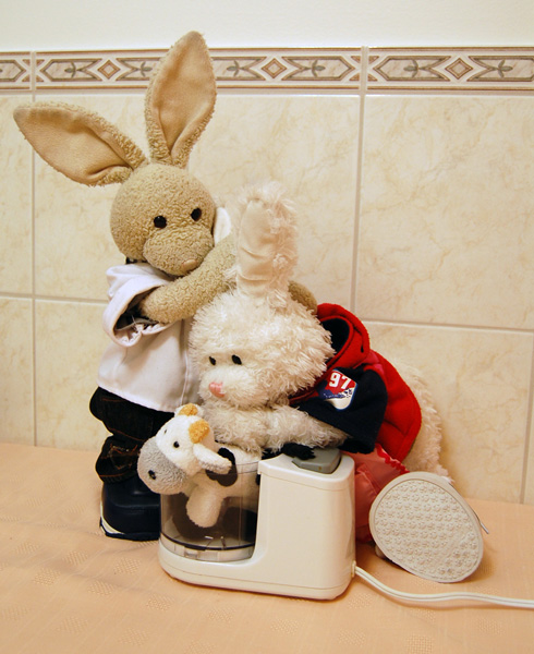 Croquettes Show Picture