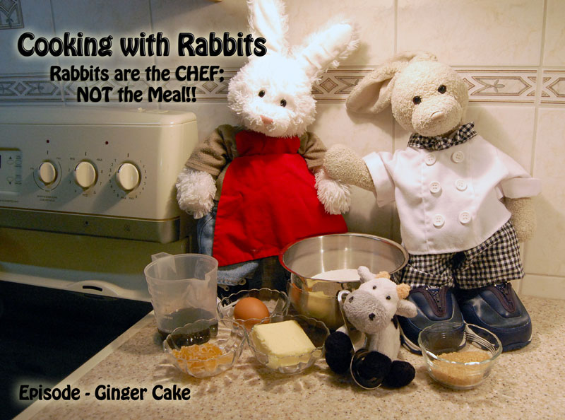 Ginger Cake Show Picture