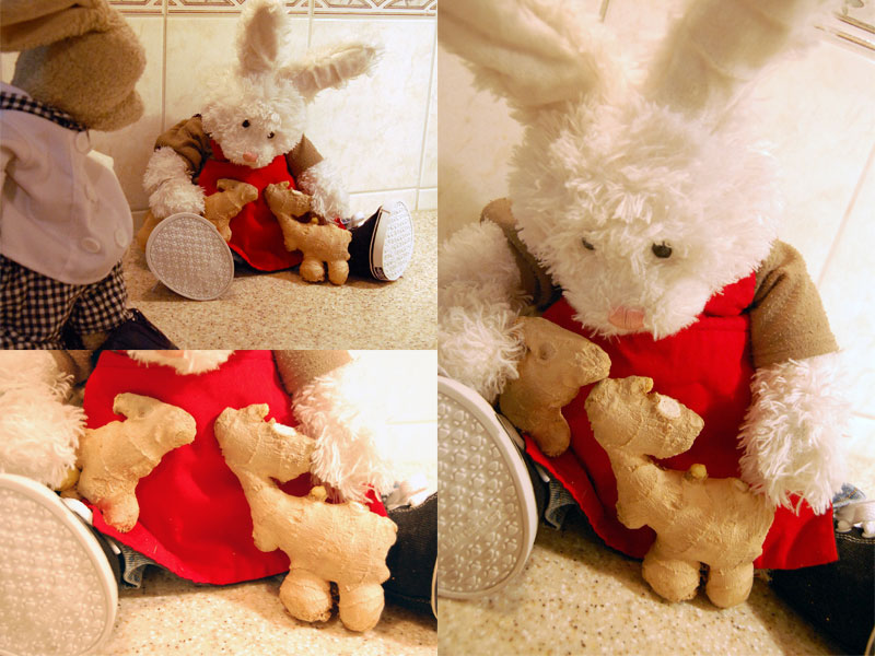 Ginger Cake Show Picture