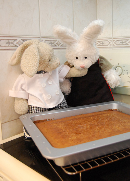 Mochi Cake Show Picture