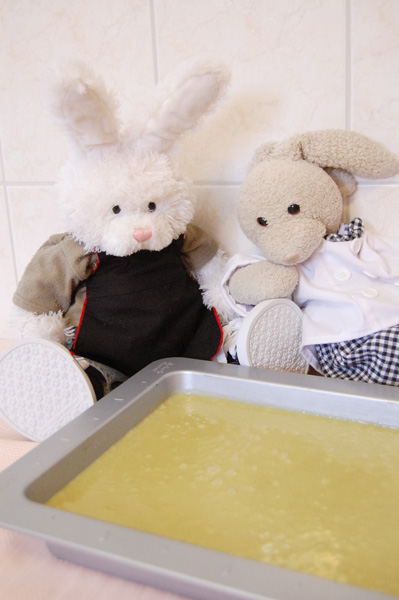 Mochi Cake Show Picture