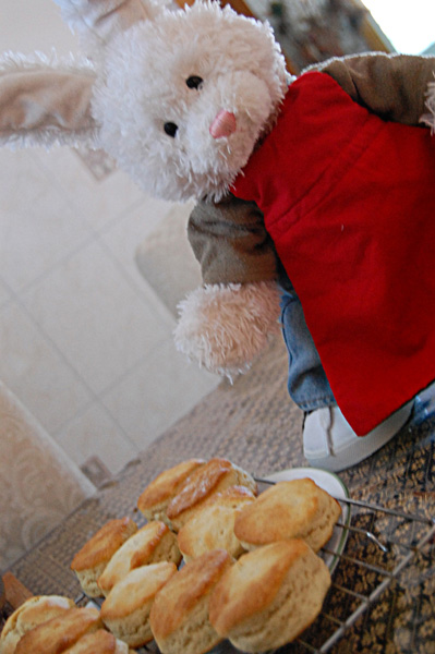 Thanksgiving Dinner Show Picture