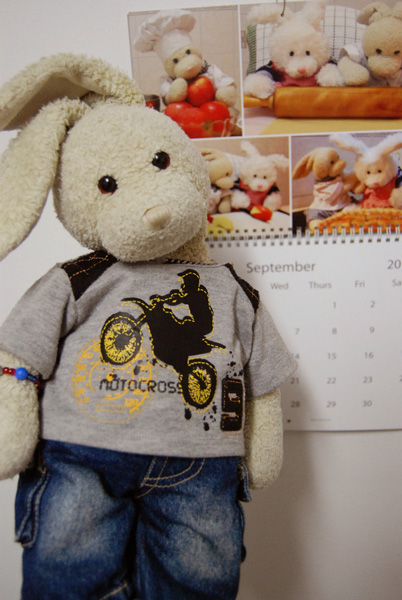 Thanksgiving Dinner Show Picture