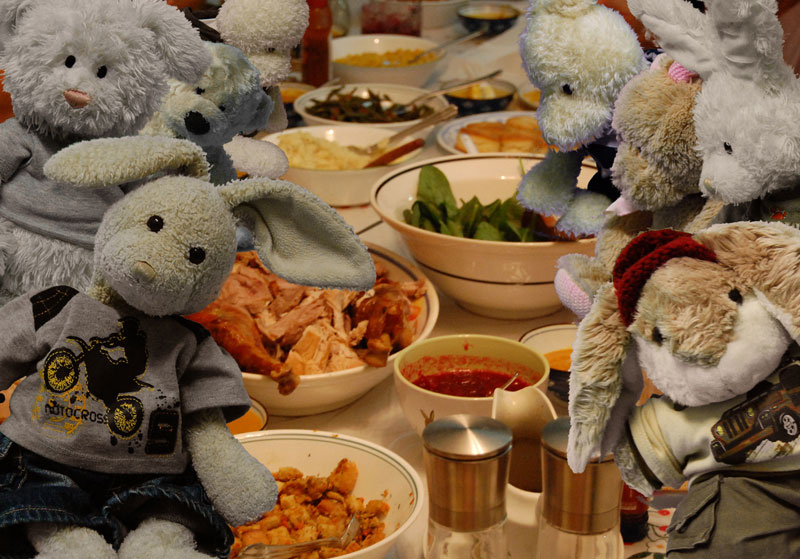 Thanksgiving Dinner Show Picture