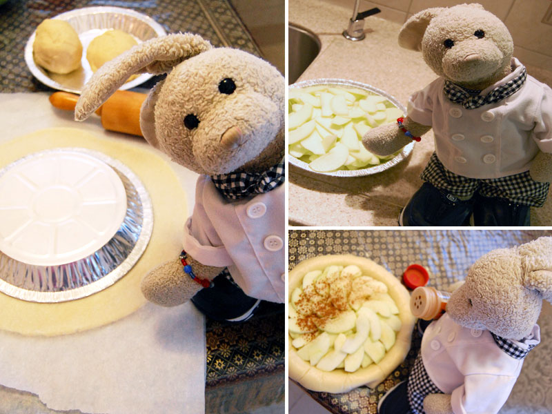 Thanksgiving Dinner Show Picture