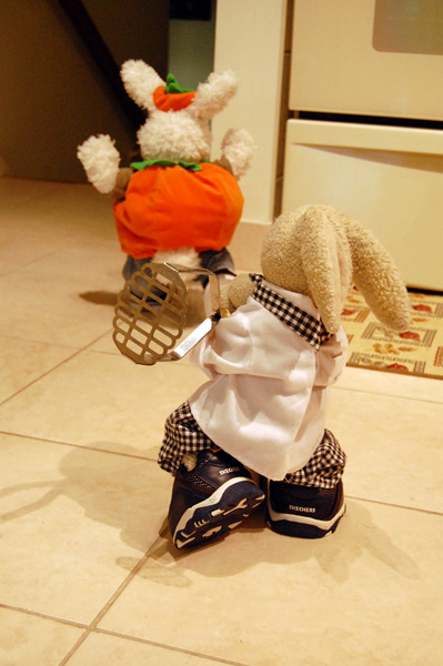 Thanksgiving Dinner Show Picture