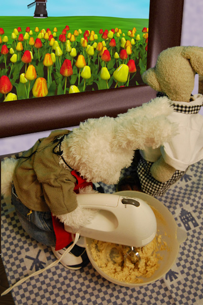 Speculaas Cookies Show Picture