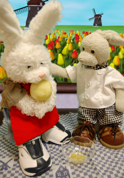 Speculaas Cookies Show Picture