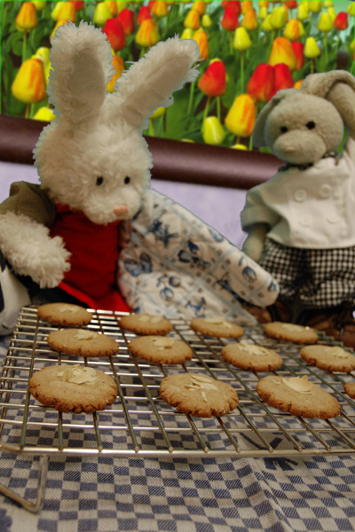 Speculaas Cookies Show Picture