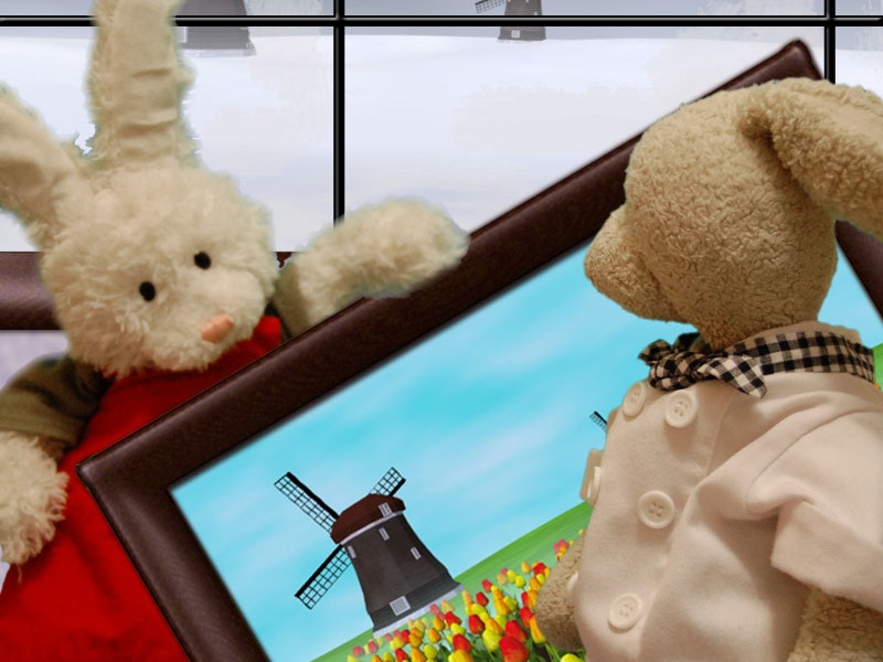 Speculaas Cookies Show Picture