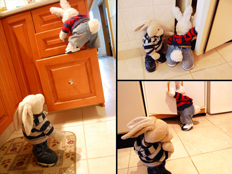 Rock Cakes Show Picture