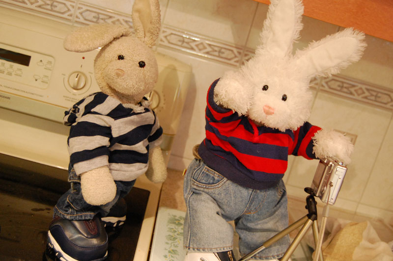 Rock Cakes Show Picture