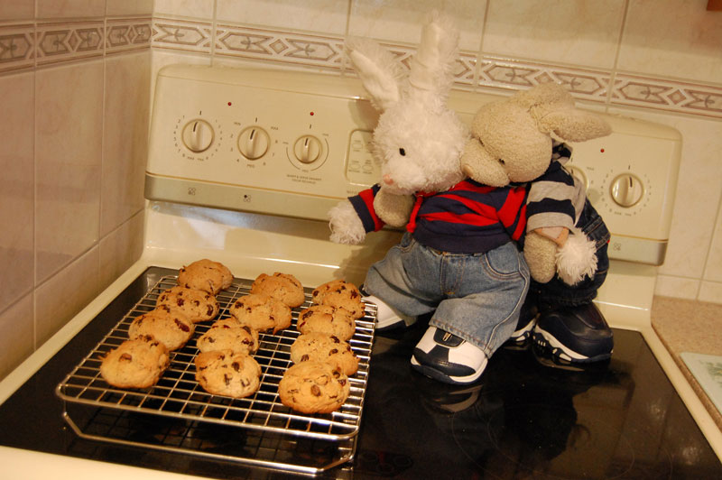 Rock Cakes Show Picture