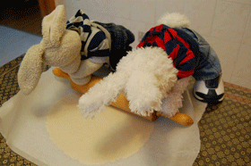 Sour Cream Cookies Show Picture