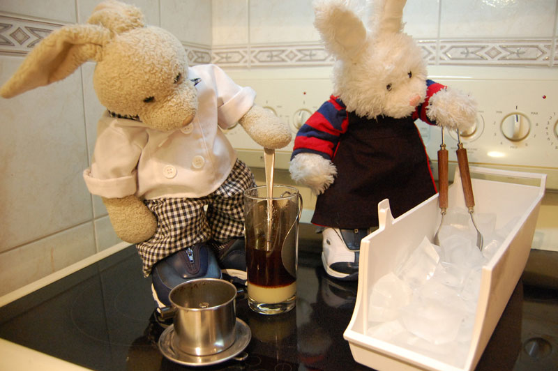 Coffee Jello Show Picture