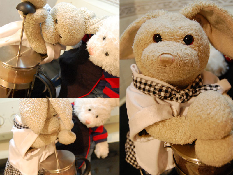 Coffee Jello Show Picture