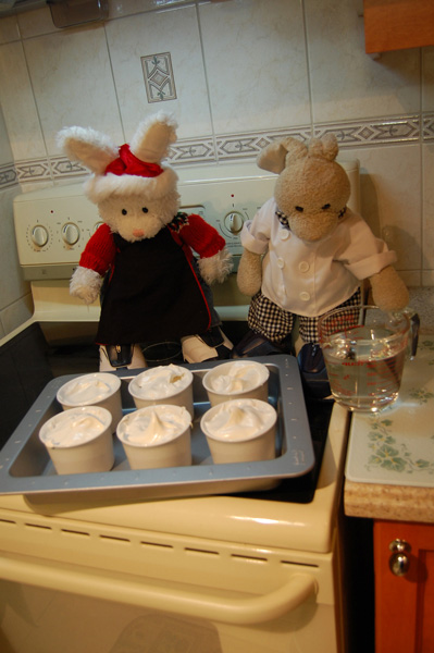 Floating Island Show Picture