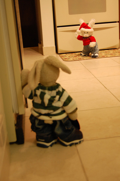 Buckeyes Show Picture