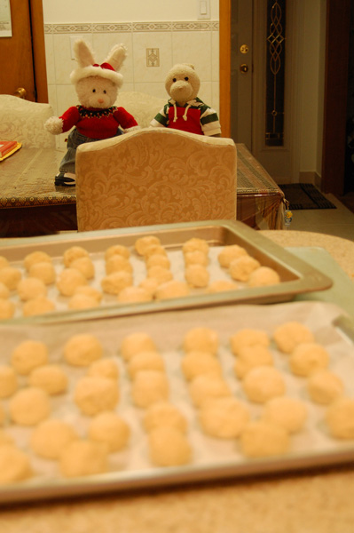 Buckeyes Show Picture