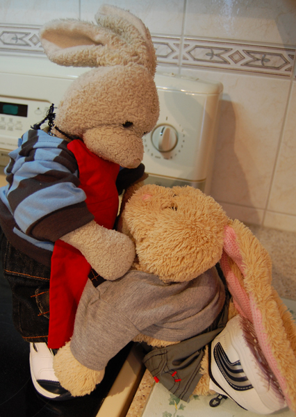 Almond Jello Show Picture