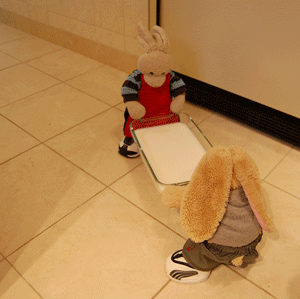 Almond Jello Show Picture